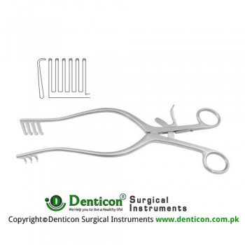 Adson Self Retaining Retractor 6 x 6 Blunt Prongs Stainless Steel, 29 cm - 11 1/2"